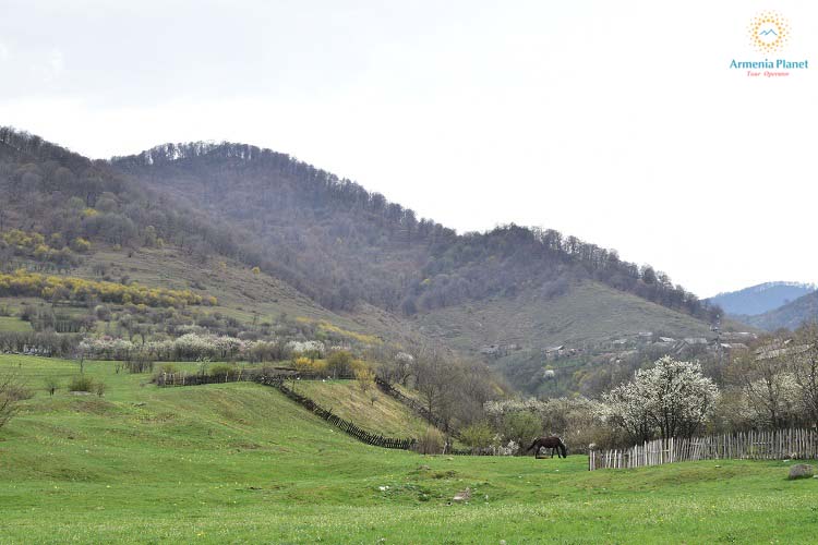 Пеший поход Ахпат – Акнер – Санаин