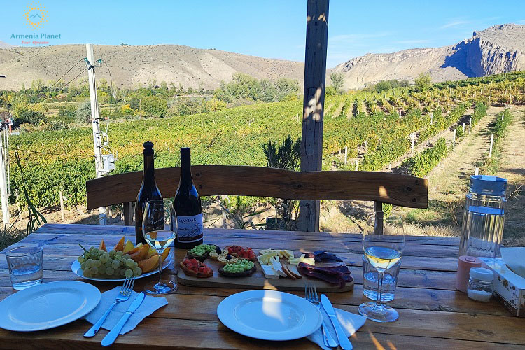 Momik Wines