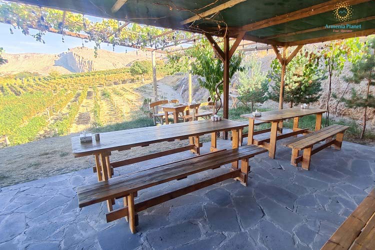 Momik Wines